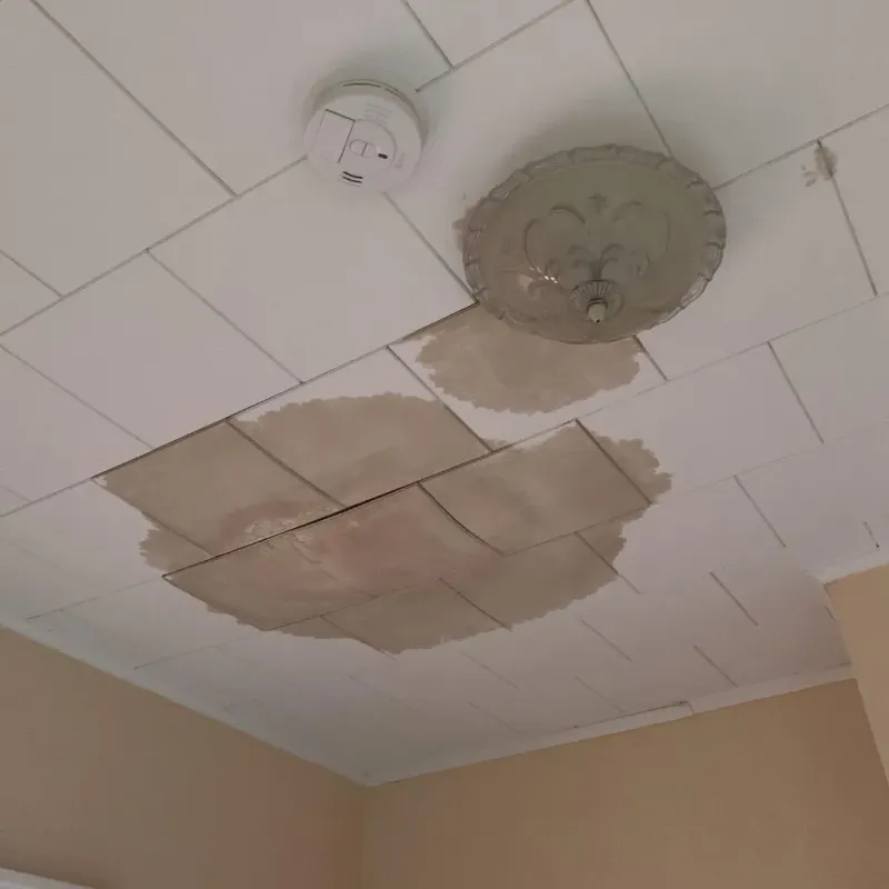 Ceiling Water Damage Repair in Harwood Heights, IL
