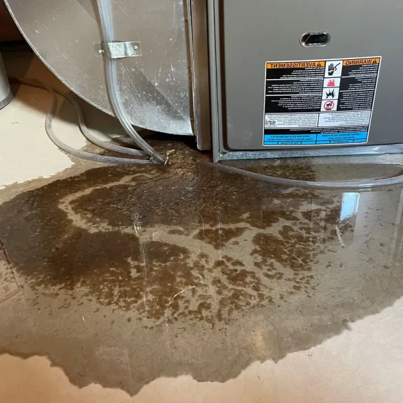 Pipe Burst and Leak Restoration in Harwood Heights, IL