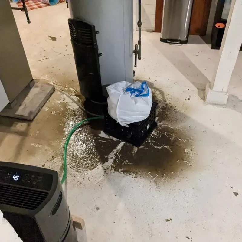 Sewage Backup Cleanup Service in Harwood Heights, IL